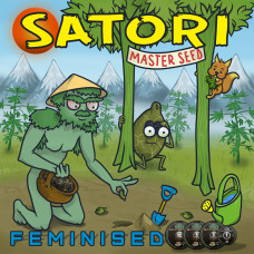 Satori feminised (MASTER SEED)
