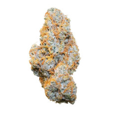 Apple Fritter auto feminised (Royal Queen Seeds)