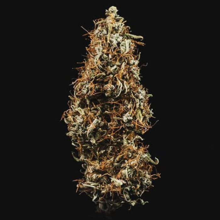 Семена конопли HulkBerry autofem. Royal Queen Seeds Семена конопли HulkBerry autofem. Royal Queen Seeds