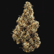 Mimosa auto feminised (Royal Queen Seeds)