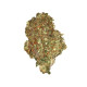 Насіння коноплі Quick One autofem. Royal Queen Seeds