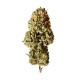 Семена конопли Royal AK  autofem. Royal Queen Seeds