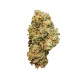 Насіння коноплі Royal Cheese autofem. Royal Queen Seeds