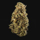 Насіння коноплі Sherbet Queen autofem. Royal Queen Seeds