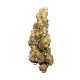 Семена конопли Wedding Cake autofem. Royal Queen Seeds Семена конопли Wedding Cake autofem. Royal Queen Seeds