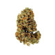 Семена конопли White Widow autofem. Royal Queen Seeds