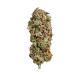 Насіння коноплі Amnesia Mac Ganja fem. Royal Queen Seeds