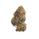 Насіння коноплі Bubblegum XL fem. Royal Queen Seeds