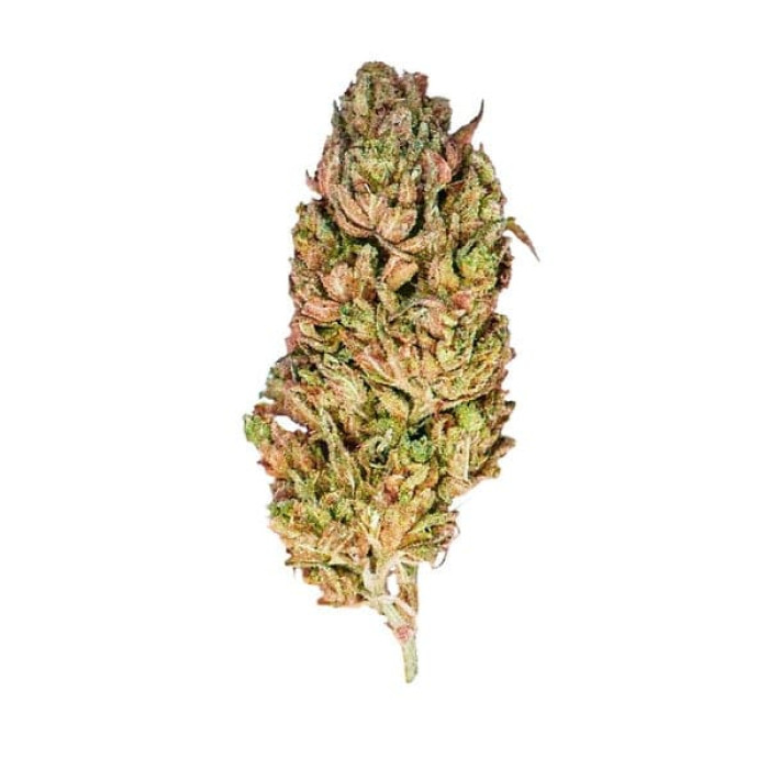 Семена конопли El Patron fem. Royal Queen Seeds Семена конопли El Patron fem. Royal Queen Seeds