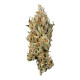 Семена конопли Fat Banana fem. Royal Queen Seeds