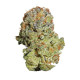Семена конопли Fruit Spirit fem. Royal Queen Seeds