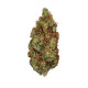 Семена конопли Green Gelato fem. Royal Queen Seeds