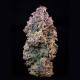 Семена конопли ICE fem. Royal Queen Seeds