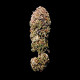 Семена конопли Legendary OG Punch fem. Royal Queen Seeds