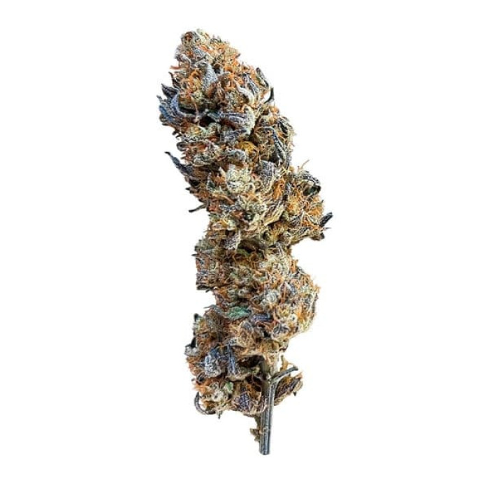 Семена конопли Mimosa fem. Royal Queen Seeds Семена конопли Mimosa fem. Royal Queen Seeds