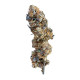 Семена конопли Mimosa fem. Royal Queen Seeds Семена конопли Mimosa fem. Royal Queen Seeds