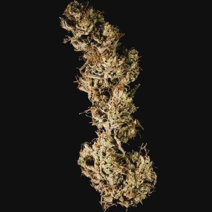 Семена конопли Mother Gorilla fem. Royal Queen Seeds
