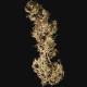 Семена конопли Mother Gorilla fem. Royal Queen Seeds