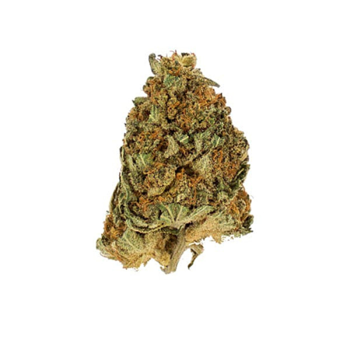 Семена конопли Northern Light fem. Royal Queen Seeds