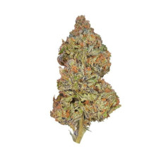 Pineapple Kush feminised (Royal Queen Seeds)