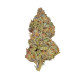 Семена конопли Pineapple Kush fem. Royal Queen Seeds Семена конопли Pineapple Kush fem. Royal Queen Seeds