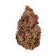 Семена конопли Purple Queen fem. Royal Queen Seeds