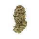 Семена конопли Royal Cookies fem. Royal Queen Seeds
