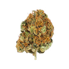 Royal Moby feminised (Royal Queen Seeds)