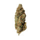 Насіння коноплі Royal Runtz fem. Royal Queen Seeds