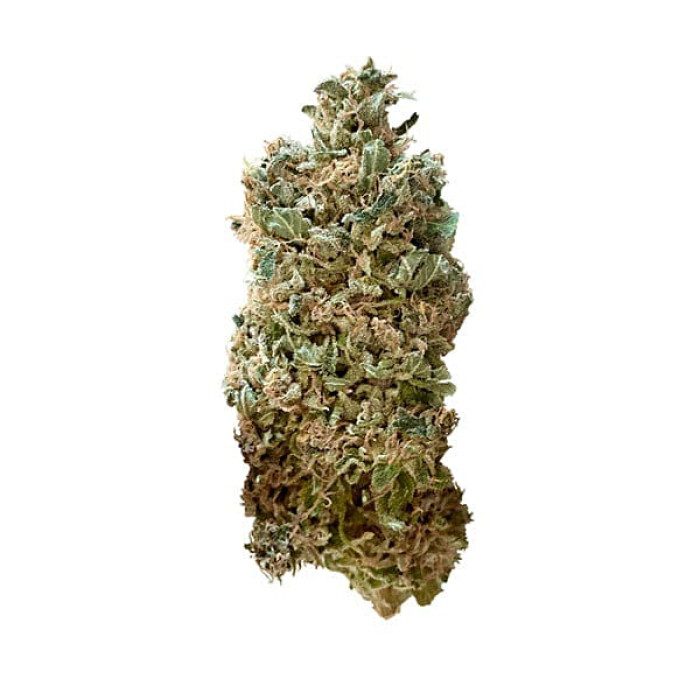 Семена конопли Royal Skywalker fem. Royal Queen Seeds Семена конопли Royal Skywalker fem. Royal Queen Seeds