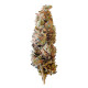 Семена конопли Shogun fem. Royal Queen Seeds