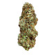 Семена конопли Special Kush 1 fem. Royal Queen Seeds