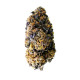 Семена конопли Wedding Gelato fem. Royal Queen Seeds