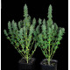 Семена конопли Serious Happiness fem. Serious Seeds