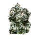 Насіння коноплі Runtz autofem. Super Strains