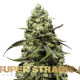 Насіння коноплі Turing autofem. Super Strains