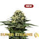 Насіння коноплі Wedding Cake fem. Super Strains