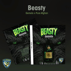 Beasty feminised (T.H. Seeds.)