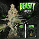 Семена конопли Beasty fem. T.H. Seeds