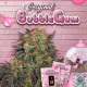 Семена конопли Bubblegum fem. T.H. Seeds