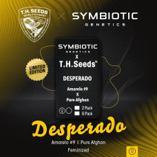 Desperado feminised (T.H. Seeds.)