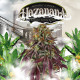 Семена конопли Hazanana fem. T.H. Seeds