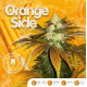 Семена конопли Orangesicle fem. T.H. Seeds