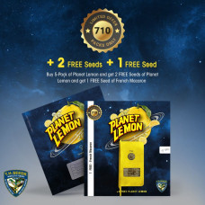 Planet Lemon 710 Special Pack feminised (T.H. Seeds.)