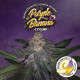 Насіння коноплі Purple Banana Cream fem. T.H. Seeds
