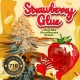 Семена конопли Strawberry Glue 710 Special Pack fem. T.H. Seeds