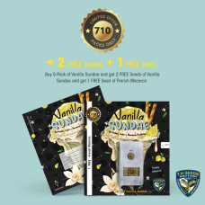 Vanilla Sundae 710 Special Pack feminised (T.H. Seeds.)