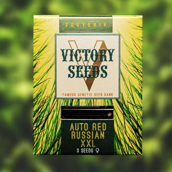 Семена конопли Red Russian XXL autofem. Victory Seeds