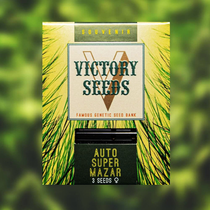 Насіння коноплі Super Mazar autofem. Victory Seeds