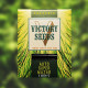 Насіння коноплі Super Mazar autofem. Victory Seeds